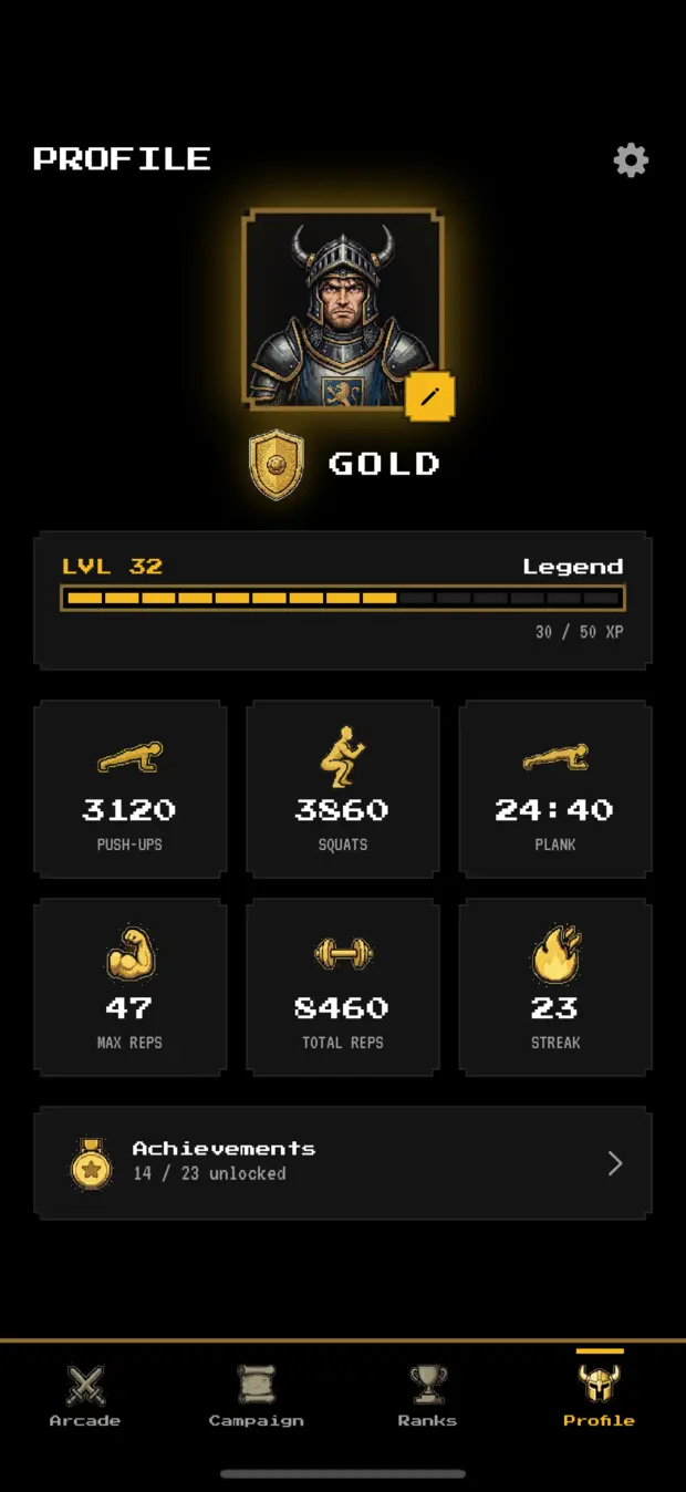 Player profile with rank, level, stats and streak